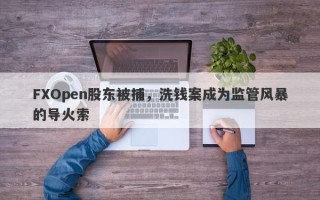 FXOpen股东被捕，洗钱案成为监管风暴的导火索