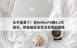 太不容易了！在BelleoFX赚4.2万美元，却面临出金无法兑现的困境