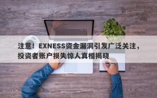 注意！EXNESS资金漏洞引发广泛关注，投资者账户损失惊人真相揭晓