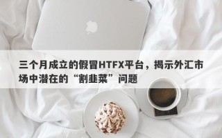 三个月成立的假冒HTFX平台，揭示外汇市场中潜在的“割韭菜”问题