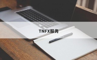 TNFX服务