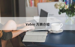 Vatee 万腾介绍