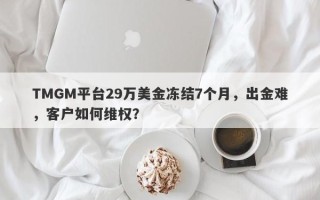 TMGM平台29万美金冻结7个月，出金难，客户如何维权？