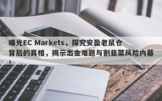 曝光EC Markets，探究安盈老鼠仓背后的真相，揭示出金难题与割韭菜风险内幕！