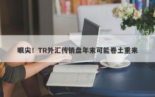 眼尖！TR外汇传销盘年末可能卷土重来