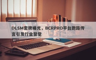 DLSM套牌曝光，BCRPRO平台跑路传言引发行业警觉