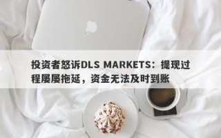 投资者怒诉DLS MARKETS：提现过程屡屡拖延，资金无法及时到账