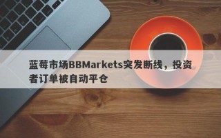 蓝莓市场BBMarkets突发断线，投资者订单被自动平仓