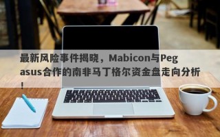 最新风险事件揭晓，Mabicon与Pegasus合作的南非马丁格尔资金盘走向分析！