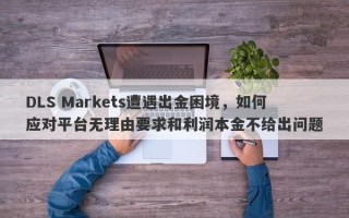 DLS Markets遭遇出金困境，如何应对平台无理由要求和利润本金不给出问题