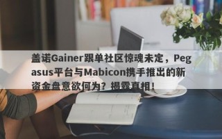 盖诺Gainer跟单社区惊魂未定，Pegasus平台与Mabicon携手推出的新资金盘意欲何为？揭露真相！