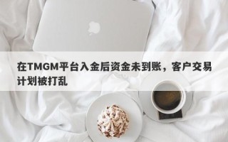 在TMGM平台入金后资金未到账，客户交易计划被打乱