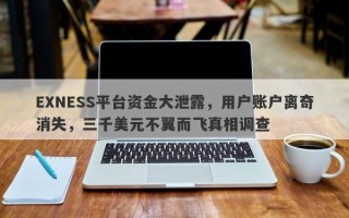 EXNESS平台资金大泄露，用户账户离奇消失，三千美元不翼而飞真相调查