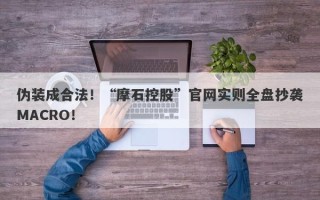 伪装成合法！“摩石控股”官网实则全盘抄袭MACRO！