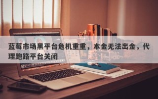 蓝莓市场黑平台危机重重，本金无法出金，代理跑路平台关闭