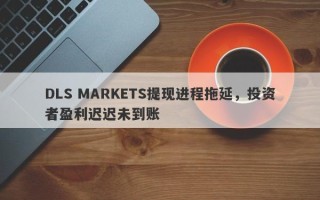 DLS MARKETS提现进程拖延，投资者盈利迟迟未到账