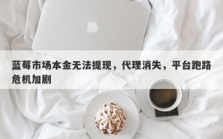 蓝莓市场本金无法提现，代理消失，平台跑路危机加剧