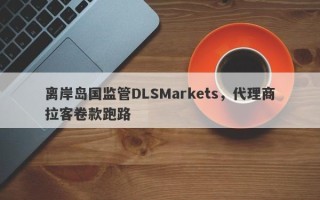 离岸岛国监管DLSMarkets，代理商拉客卷款跑路