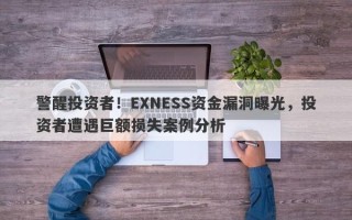 警醒投资者！EXNESS资金漏洞曝光，投资者遭遇巨额损失案例分析