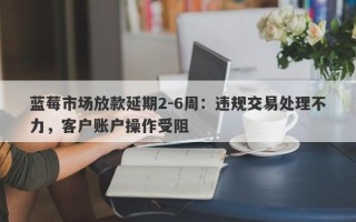 蓝莓市场放款延期2-6周：违规交易处理不力，客户账户操作受阻