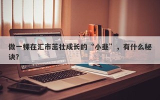 做一棵在汇市茁壮成长的“小韭”，有什么秘诀？