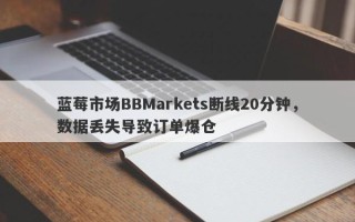 蓝莓市场BBMarkets断线20分钟，数据丢失导致订单爆仓