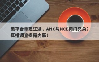 黑平台重现江湖，ANC与NCE同门兄弟？真相调查揭露内幕！