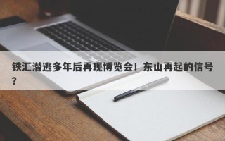 铁汇潜逃多年后再现博览会！东山再起的信号？