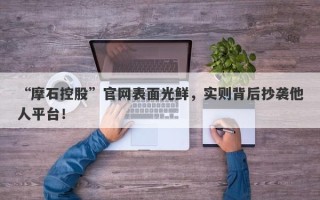 “摩石控股”官网表面光鲜，实则背后抄袭他人平台！