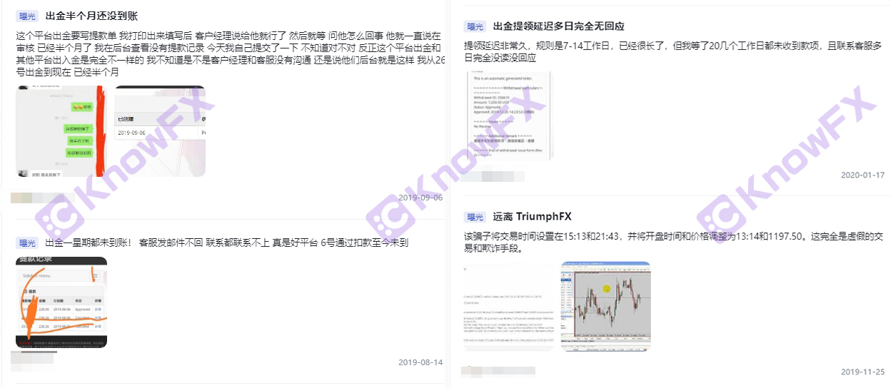 TriumphFX德汇平台月利诱惑，周结陷阱!私下拉人头，明目张胆割韭菜!-第2张图片-要懂汇