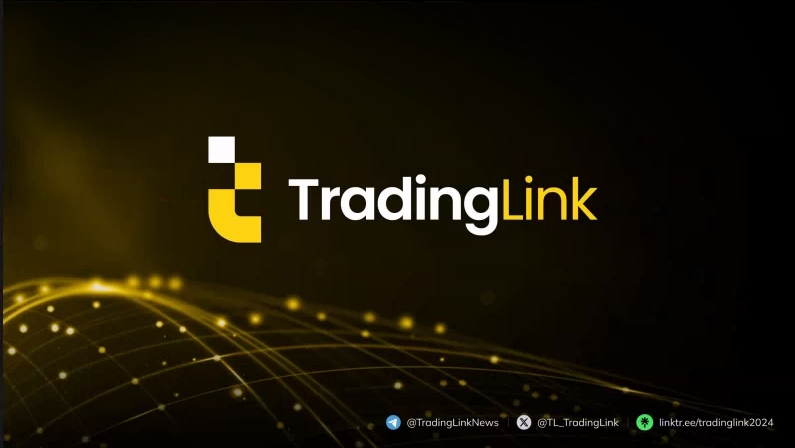 【採訪】精英交易之路，KnowFX泰國曼谷專訪TradingLink，解鎖交易優勢新篇章！-第16张图片-要懂汇