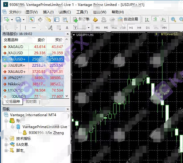 Terkejut!Acara Cabaran Vantage Trading "Ditutup" masih menipu?Pelabur memarahi: Ini adalah penipuan besar!-第6张图片-要懂汇