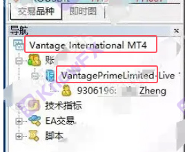 Vantage Platformの表面には、Caymanのオフショア監督がありますが、投資家が非規制の香港エンティティを使用して中国の顧客を収穫することが明らかになったことが明らかになりましたか？-第15张图片-要懂汇