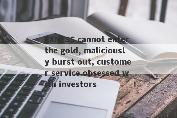 EXNESS cannot enter the gold, maliciously burst out, customer service obsessed with investors-第1张图片-要懂汇