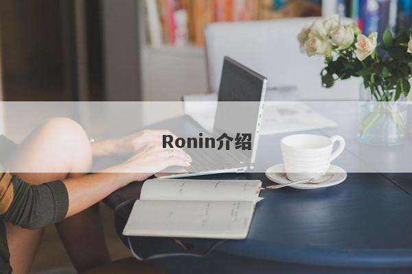 Ronin介绍-第1张图片-要懂汇