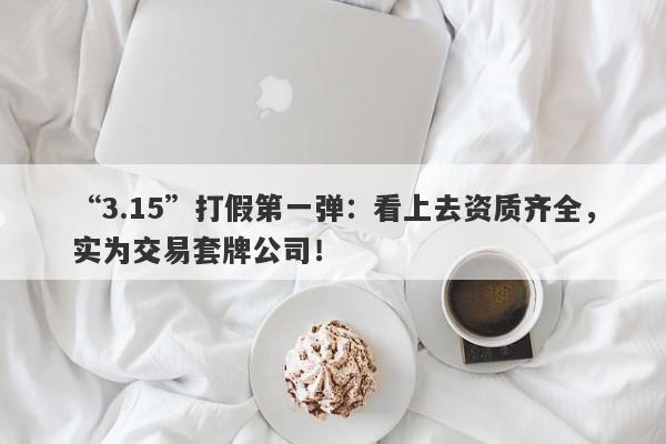 “3.15”打假第一弹：看上去资质齐全，实为交易套牌公司！-第1张图片-要懂汇