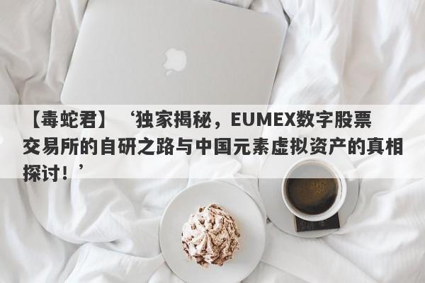 【毒蛇君】‘独家揭秘，EUMEX数字股票交易所的自研之路与中国元素虚拟资产的真相探讨！’-第1张图片-要懂汇