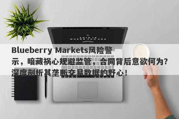 Blueberry Markets风险警示，暗藏祸心规避监管，合同背后意欲何为？深度剖析其垄断交易数据的野心！-第1张图片-要懂汇