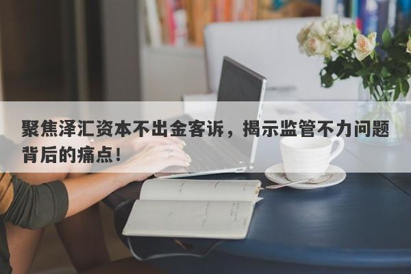 聚焦泽汇资本不出金客诉，揭示监管不力问题背后的痛点！-第1张图片-要懂汇