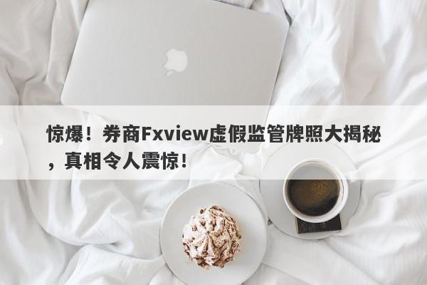 惊爆！券商Fxview虚假监管牌照大揭秘，真相令人震惊！-第1张图片-要懂汇