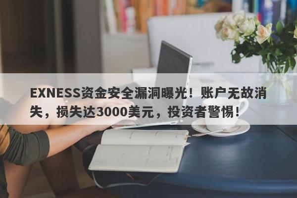 EXNESS资金安全漏洞曝光！账户无故消失，损失达3000美元，投资者警惕！-第1张图片-要懂汇