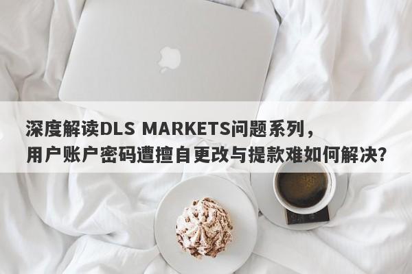 深度解读DLS MARKETS问题系列，用户账户密码遭擅自更改与提款难如何解决？-第1张图片-要懂汇