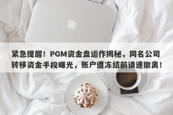 紧急提醒！PGM资金盘运作揭秘，同名公司转移资金手段曝光，账户遭冻结前请速撤离！-第1张图片-要懂汇