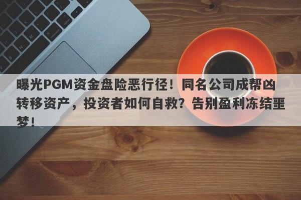 曝光PGM资金盘险恶行径！同名公司成帮凶转移资产，投资者如何自救？告别盈利冻结噩梦！-第1张图片-要懂汇