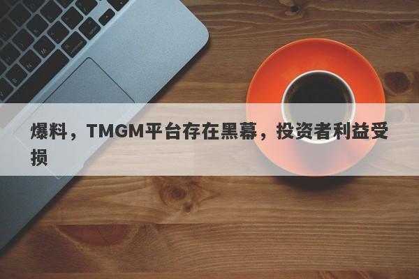 爆料，TMGM平台存在黑幕，投资者利益受损-第1张图片-要懂汇