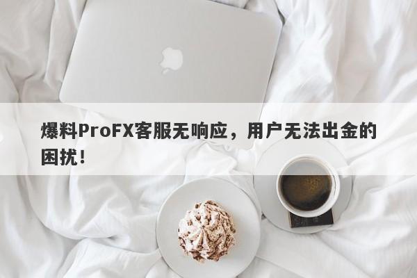 爆料ProFX客服无响应，用户无法出金的困扰！-第1张图片-要懂汇