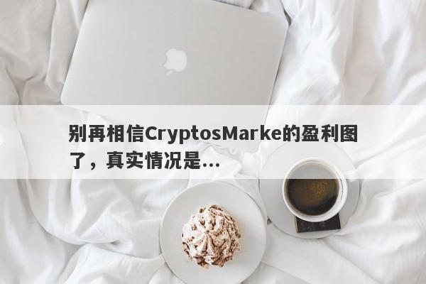 别再相信CryptosMarke的盈利图了，真实情况是...-第1张图片-要懂汇