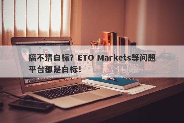 搞不清白标？ETO Markets等问题平台都是白标！-第1张图片-要懂汇