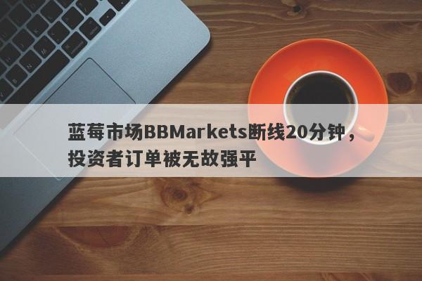 蓝莓市场BBMarkets断线20分钟，投资者订单被无故强平-第1张图片-要懂汇