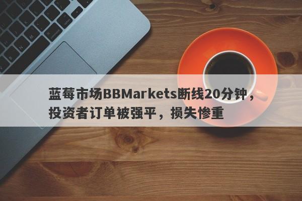 蓝莓市场BBMarkets断线20分钟，投资者订单被强平，损失惨重-第1张图片-要懂汇